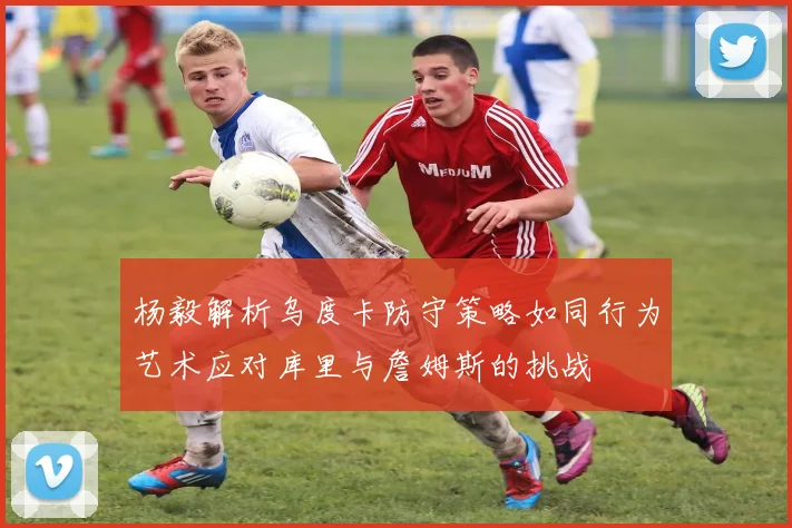 杨毅解析乌度卡防守策略如同行为艺术应对库里与詹姆斯的挑战